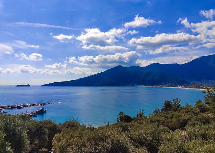 Celeste Golden 克里斯阿穆迪亚